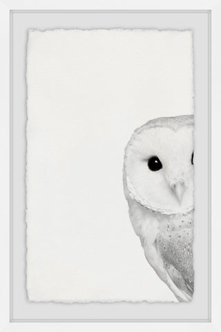 "Hidden Owl" Framed Painting Print, 24"x36"