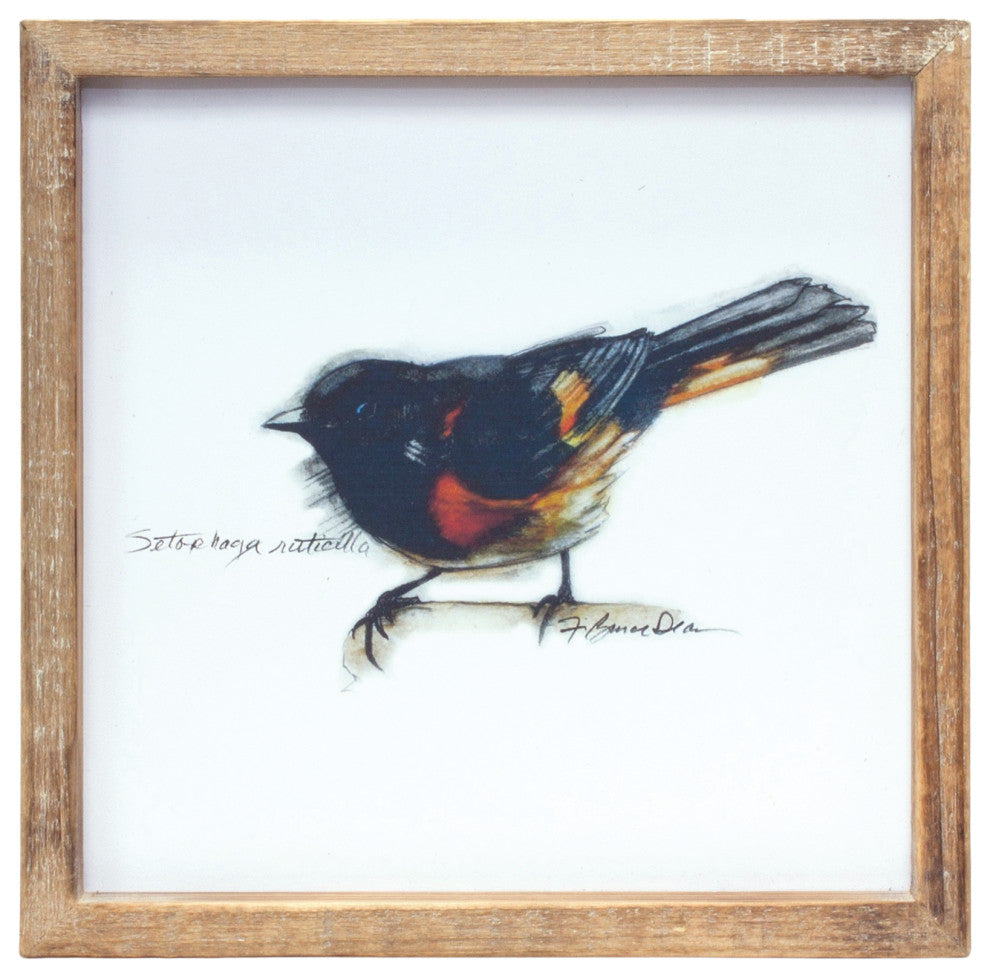 Framed Bird Print, 4-Piece Set