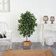 4' Ficus Artificial Tree, Boho Chic Handmade Cotton and Jute Gray Woven Planter