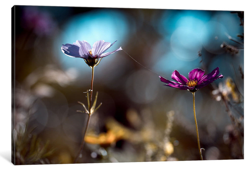 "Le Lien" by Fabien Bravin, 40x26x1.5