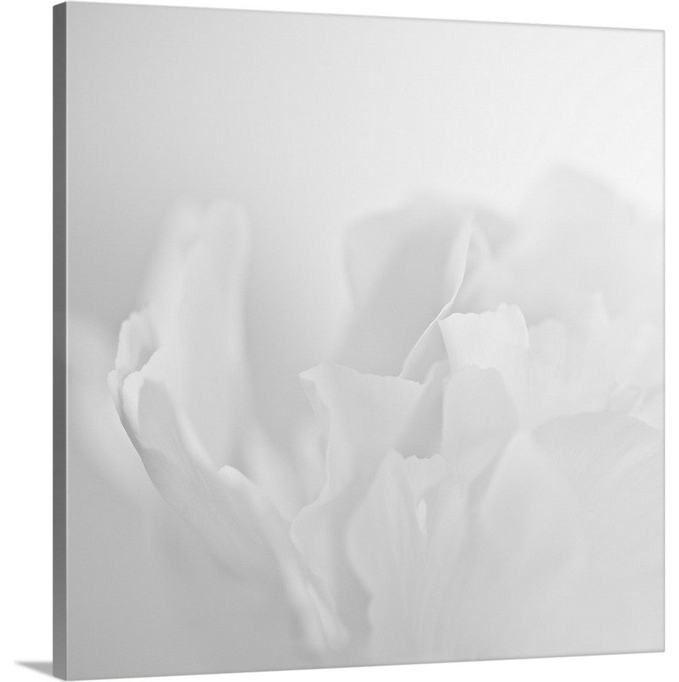 "Oh So White" Wrapped Canvas Art Print, 20"x20"x1.5"