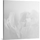 "Oh So White" Wrapped Canvas Art Print, 20"x20"x1.5"