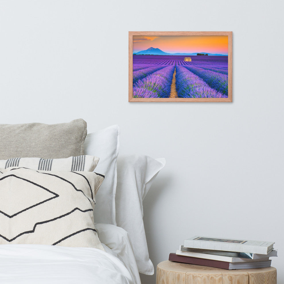Blooming Lavender Field and Sunset Floral Landscape Framed Photo Wall Art Prints, Red Oak, 12" X 18"
