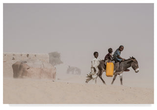 Joxe Inazio Kuesta 'Desert Donkey' Canvas Art, 19"x12"