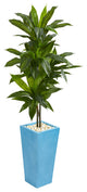 5" Dracaena Artificial Plant, Turquoise Tower Vase