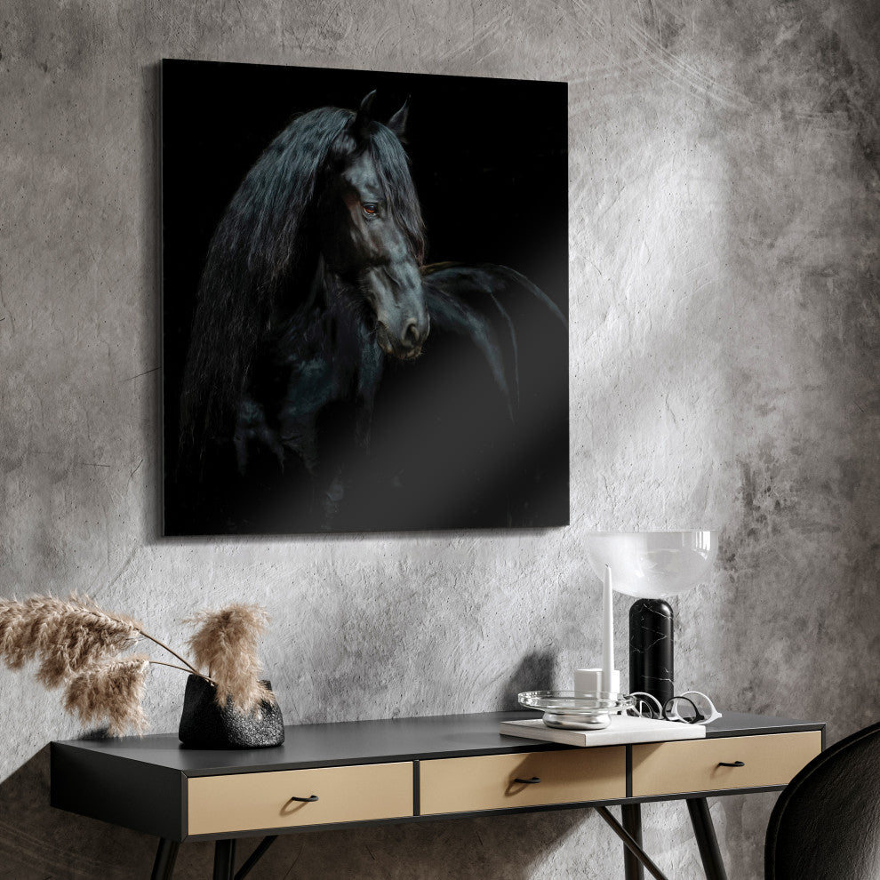 "Black Equine Attraction" Frameless Free Floating Tempered Glass Panel Wall Art