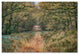Cora Niele ''Autumn Walk'' Canvas Art