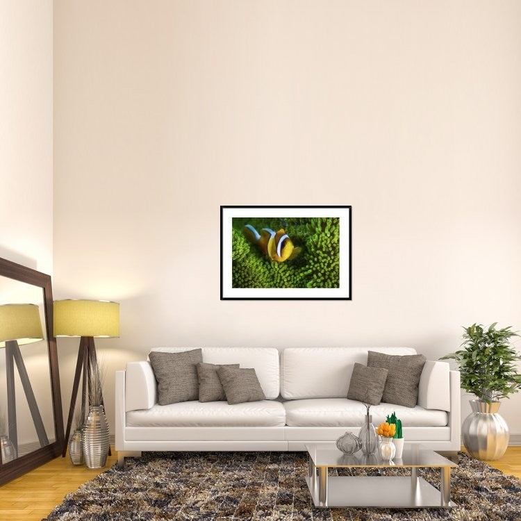"Yellow Clownfish On Green Anemon"  by Barathieu Gabriel, 44x32"