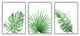 Green Leaves Modern Green Tropical Palm Fans ,3pc, each 16 x 20