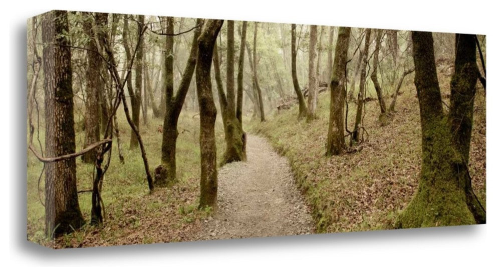 "Oak Tree - 46" By Alan Blaustein, Giclee Print on Gallery Wrap Canvas