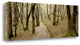 "Oak Tree - 46" By Alan Blaustein, Giclee Print on Gallery Wrap Canvas