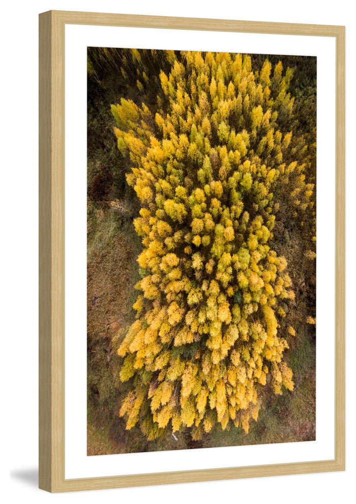 "Yellow Flora" Framed Print by Karolis Janulis