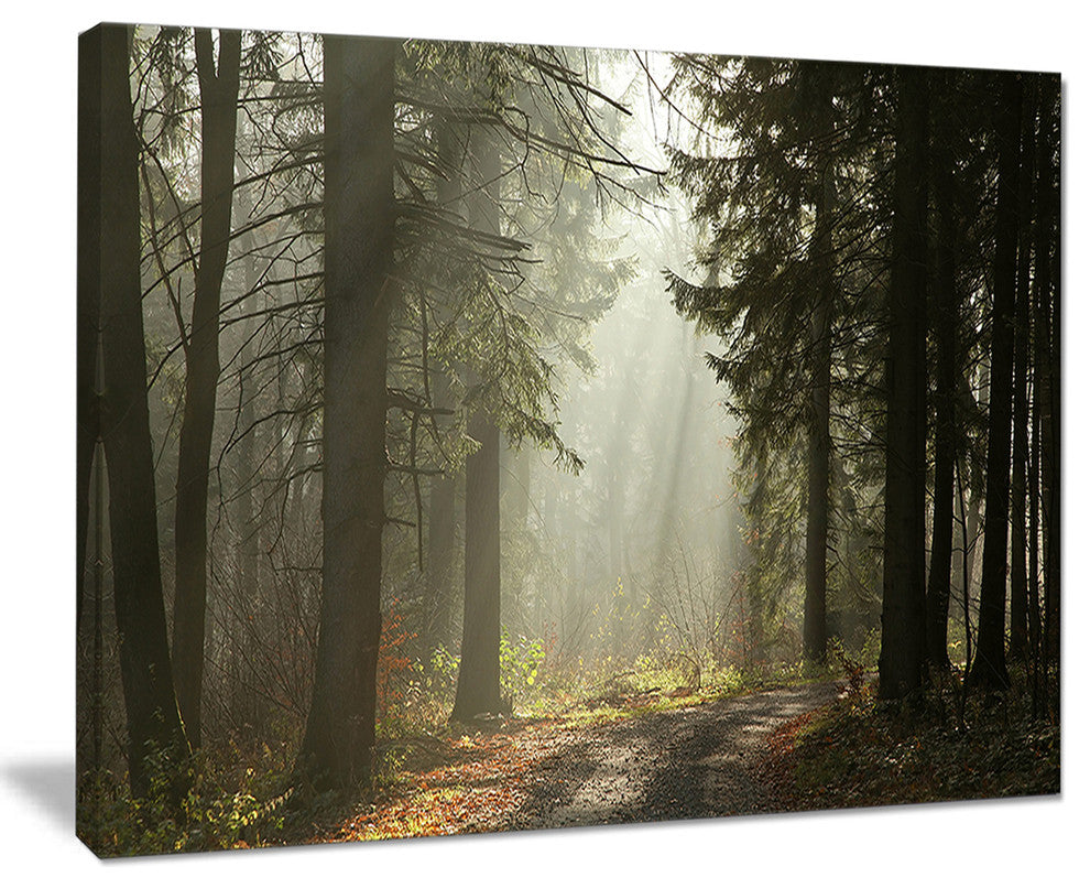 "Dark Green Forest With Sun Rays" Canvas Print, 20"x12"