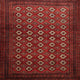 Ahgly Company Indoor Square Traditional Area Rugs, 5' Square