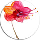 Beautiful Dual-Toned Star Flower, Flower Large Disc Metal Wall Art, 11"