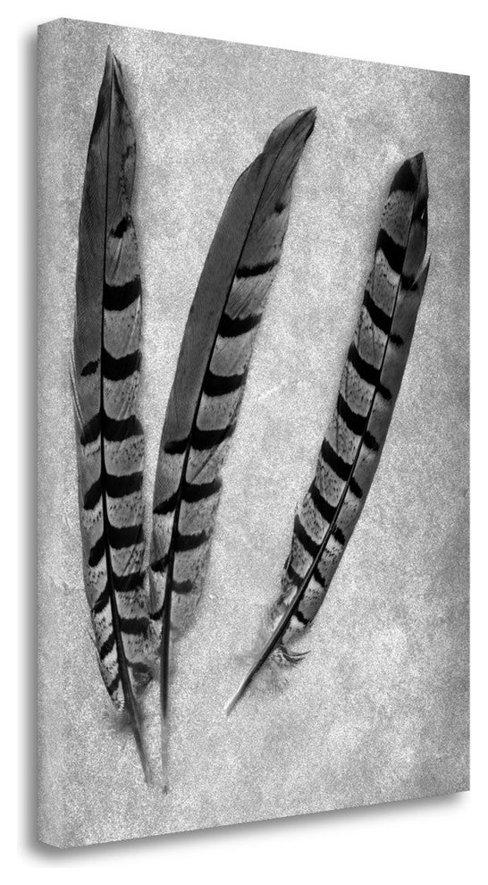 "Feathers B - W - 1" By Alan Blaustein, Giclee Print on Gallery Wrap Canvas