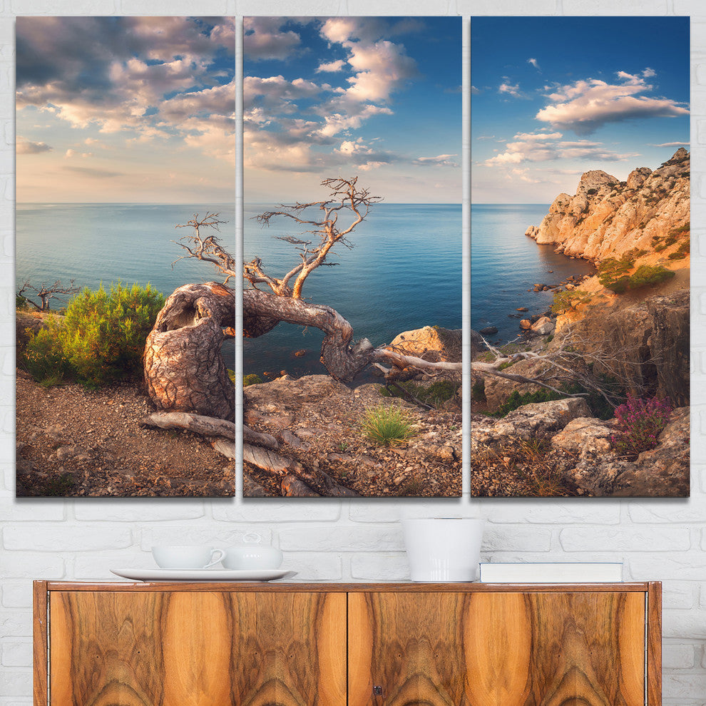 "Sunny Morning With Old Tree" Photo Canvas Art Print, 3 Panels, 36"x28"