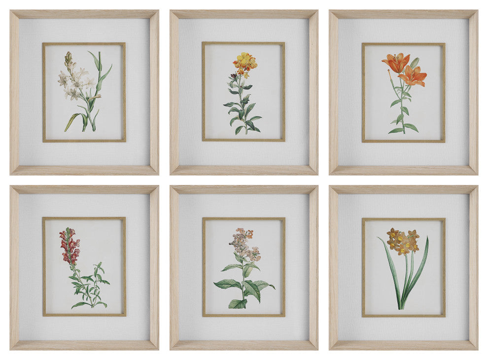 Uttermost Classic Botanicals Framed prints 6-Piece Set