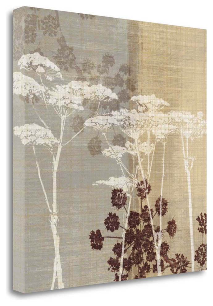 "Lace I" By Tandi Venter, Giclee Print on Gallery Wrap Canvas, Ready to Hang