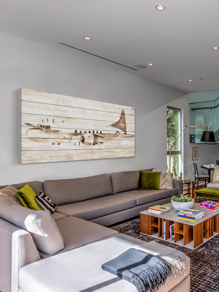 "In Flight 2" Print on White Wood