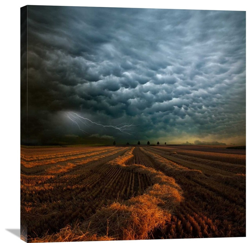 "Mammatus" Stretched Canvas Giclee by Franz Schumacher, 29x30"