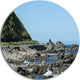 Beautiful New Zealand Rocky Beach, Seascape Disc Metal Wall Art, 23"