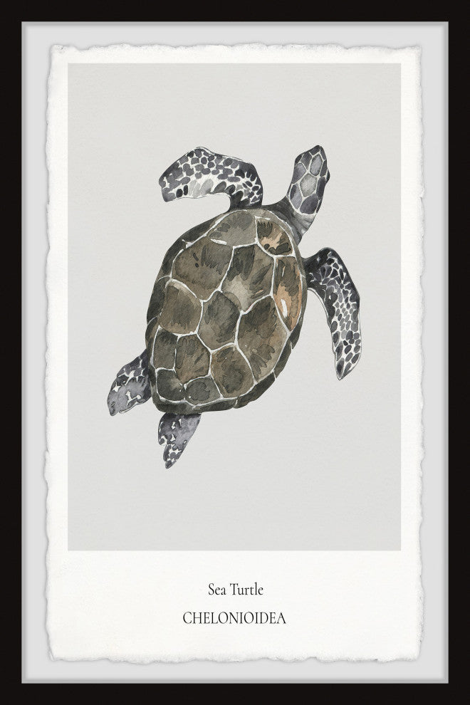 "Chelonioidea" Framed Painting Print, 30x45
