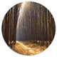 Light In The Forest Path Panorama, Forest Disc Metal Artwork, 23"