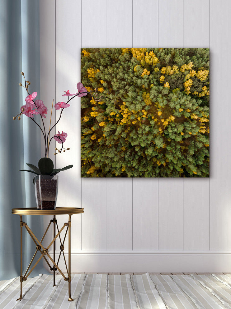 "Yellow and Green Trees" Print on Canvas by Karolis Janulis