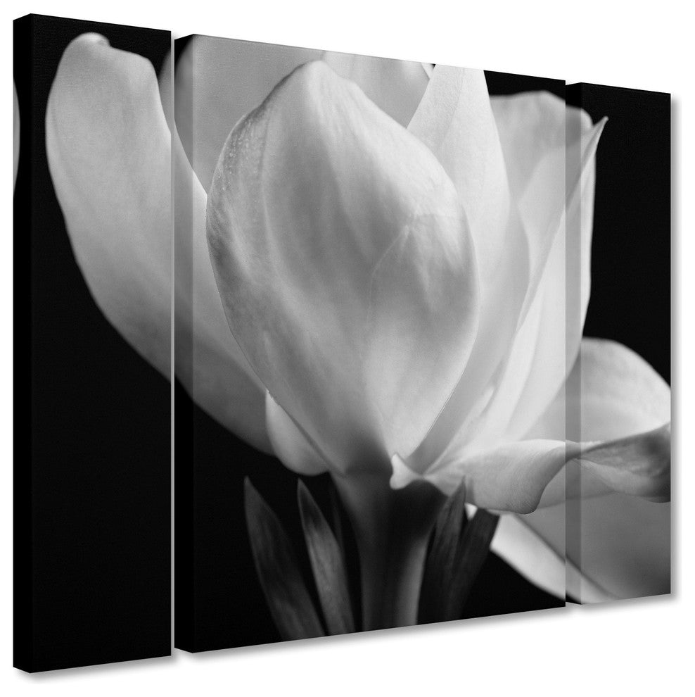 Michael Harrison 'Gardenia' Multi Panel Art Set, 32"x24"