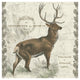 "Regal Elk Sq" Digital Paper Print by Sue Schlabach, 42"x42"