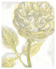 "Belle Fleur Yellow III" Digital Paper Print by Sue Schlabach, 22"x26"