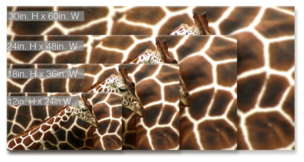 Ready2HangArt ''Giraffe'' Wrapped Canvas Wall Decor, 24"x12"