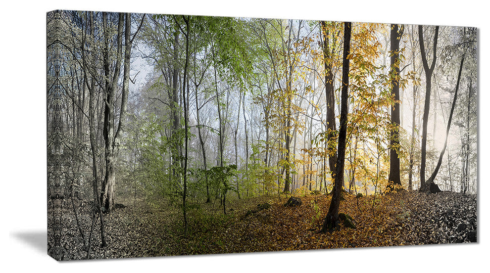 "Morning Forest Panoramic View" Canvas Print