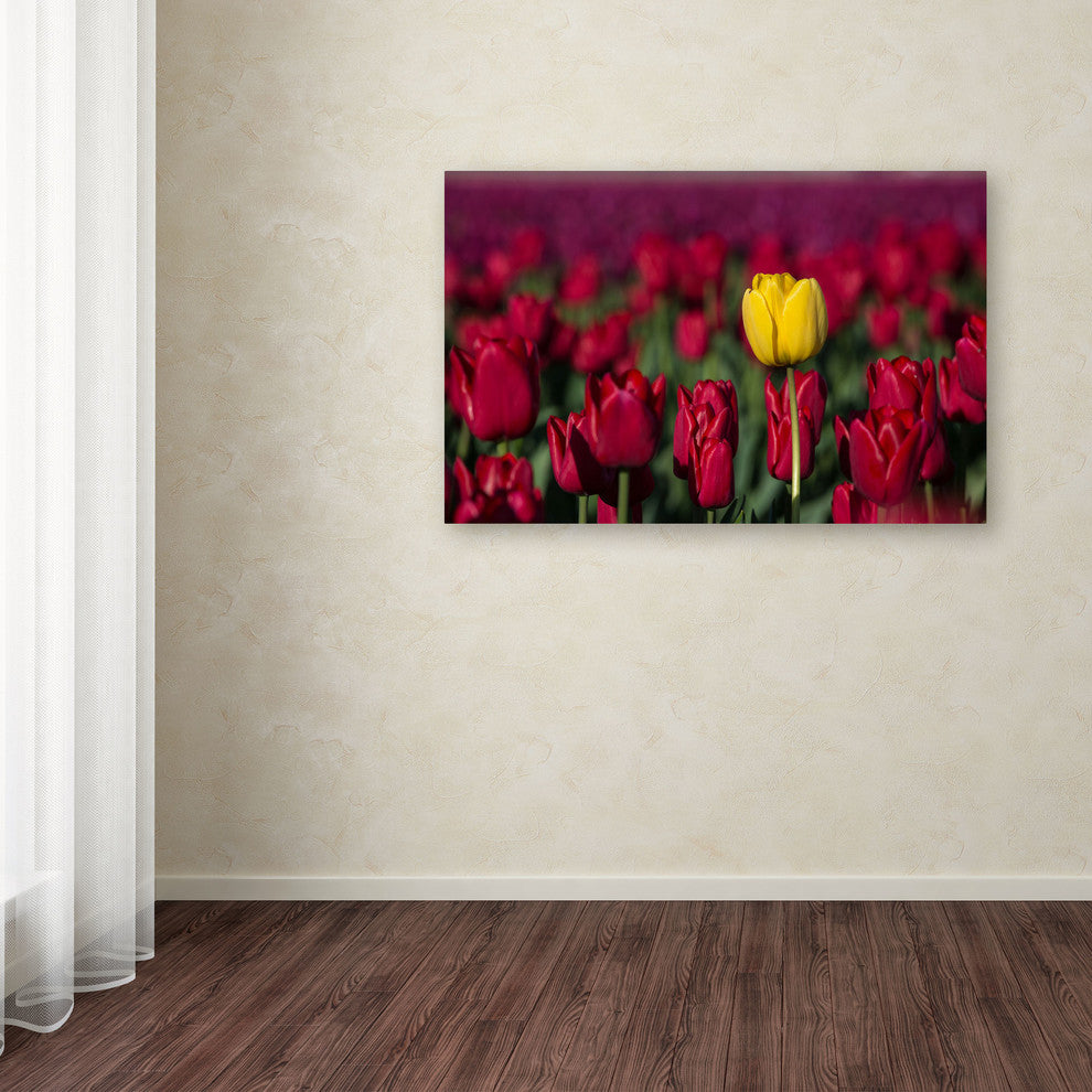 ''Yellow Tulip'' Canvas Art by Pierre Leclerc