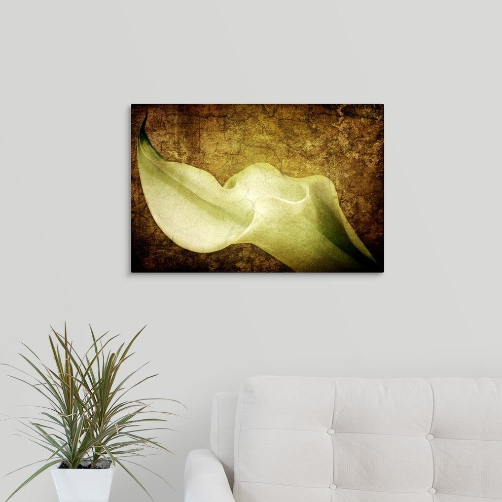 "Immortal Passion" Wrapped Canvas Art Print, 24"x16"x1.5"