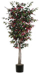 Vickerman TDx0360-07 6' Artificial Capensia Deluxe, Black Plastic Pot