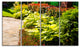Modern Green Garden Design, Landscape Canvas Art Print, 48"x28", 4 Panels