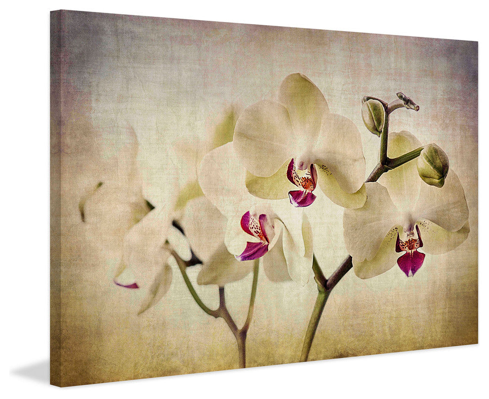 "Pale Orchids Wide" Painting Print on Canvas by Malek