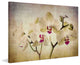 "Pale Orchids Wide" Painting Print on Canvas by Malek