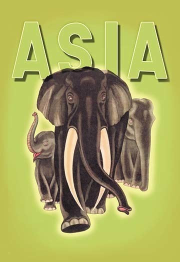 Indian Elephants - Gallery Wrapped Canvas Art 28" x 42"