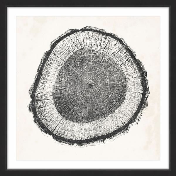 "Tree Ring II" Framed Painting Print, 12"x12"