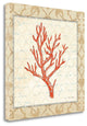 "Coral Beauty Light II" By Emily Adams, Giclee Print on Gallery Wrap Canvas