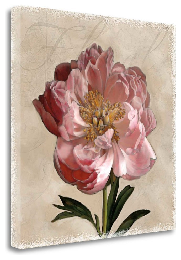 "Peony I" By Janel Pahl, Giclee Print on Gallery Wrap Canvas, Ready to Hang
