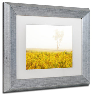PIPA Fine Art 'Dreams of Goldenrod and Fog' Matted Framed Art, 14x11