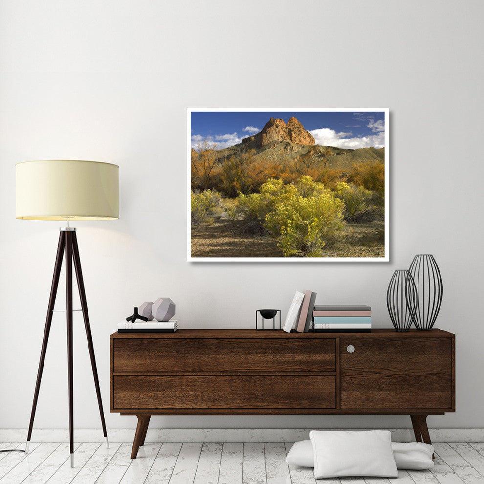 "Mitten Rock, New Mexico" Digital Paper Print by Tim Fitzharris, 50"x38"