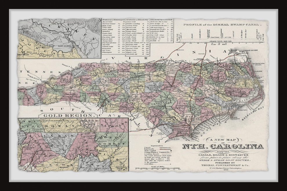"North Carolina Overview" Framed Painting Print, 24x16