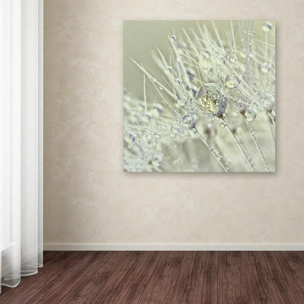 Cora Niele 'Dandelion Dew III' Canvas Art