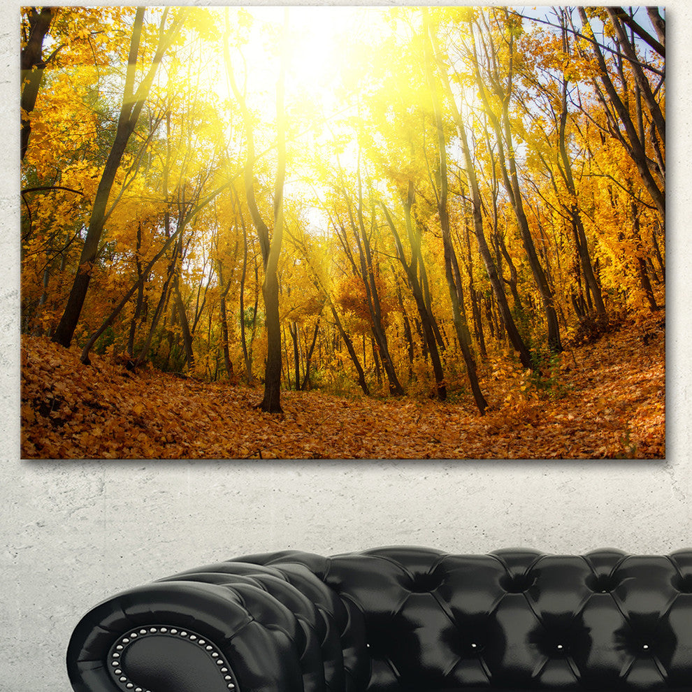 Yellow Autumn Forest in Sunlight, Forest Canvas Art Print, 40"x30"