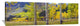 "Quaking Aspen Grove In Autumn, Colorado" Artwork, 72" x 24"